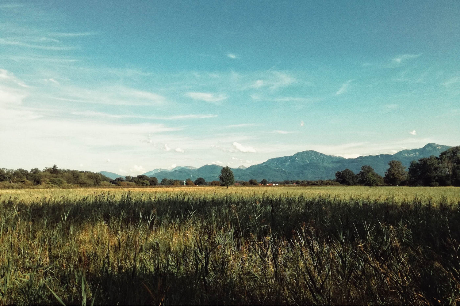 Chiemgau | turn – der innovative Duschkugel Spender