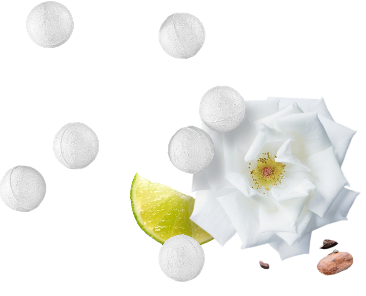 Natürliche Inhaltsstoffe | turn – der innovative Duschkugel Spender